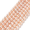 Natural Cultured Freshwater Pearl Beads Strands PEAR-E016-130-1