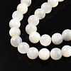 Natural White Shell Bead Strands SSHEL-N003-144E-01-3