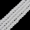 Transparent Glass Beads Strands EGLA-A044-T2mm-MD19-2