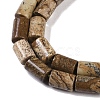 Natural Picture Jasper Beads Strands G-C128-A29-01-3