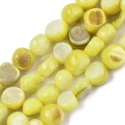 Natural Freshwater Shell Beads Strands SHEL-S276-110B-M-1