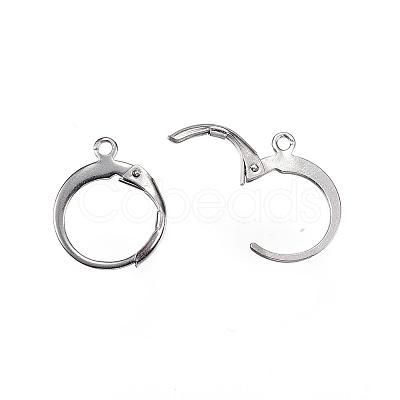 Tarnish Resistant 304 Stainless Steel Leverback Earring Findings STAS-D448-041P-1