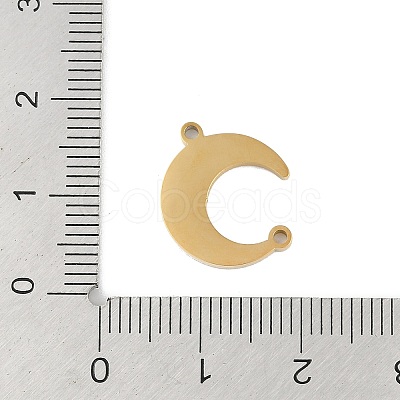 Ion Plating(IP) 304 Stainless Steel Connector Charms STAS-C108-22G-1