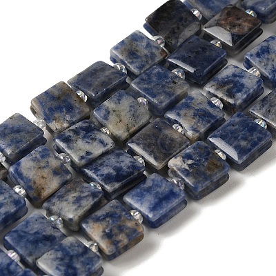 Natural Blue Spot Jasper Beads Strands G-L596-A07-01-1