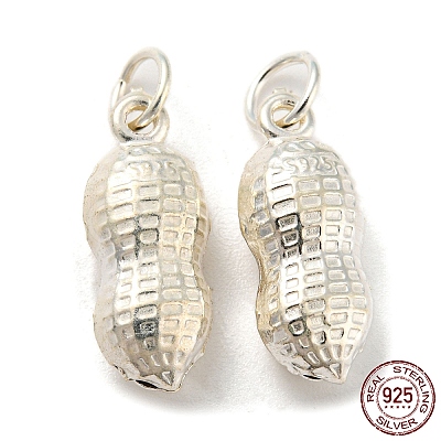 925 Sterling Silver Pendants STER-B002-12S-1