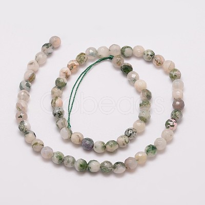 Natural Tree Agate Bead Strands X-G-G882-6mm-E02-1