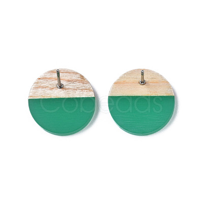 Transparent Resin & Wood Stud Earrings EJEW-N017-003A-D02-1