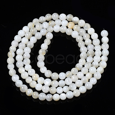 Natural Freshwater Shell Beads Strands X-BSHE-T009A-01A-1