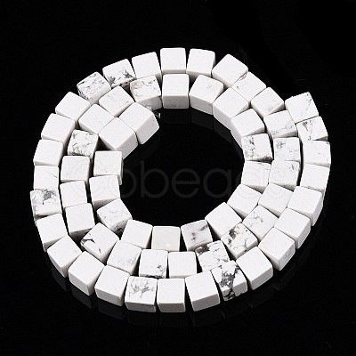 Natural Howlite Beads Strands G-T139-6x6-02A-1