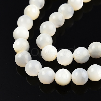 Natural White Shell Bead Strands SSHEL-N003-144E-01-1