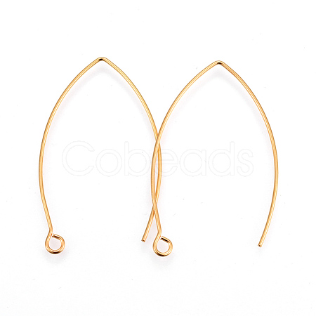 304 Stainless Steel Earring Hooks STAS-F191-02G-A-1