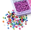 288G 24 Colors 8/0 Baking Paint Glass Seed Beads SEED-FS0001-10-4