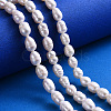Natural Cultured Freshwater Pearl Beads Strands PEAR-S012-41B-5