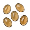 Glass Cabochons GLAA-C031-01C-1