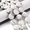 Natural Howlite Beads Strands G-C159-A01-01-2