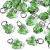 Faceted Transparent Glass Charms GLAA-T024-06G-1