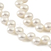 Natural Cultured Freshwater Pearl Beads Strands PEAR-A006-20-4