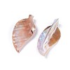 Freshwater Shell Big Pendants SHEL-L010-01-2