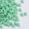 Baking Paint Glass Seed Beads SEED-Q025-3mm-L17-2