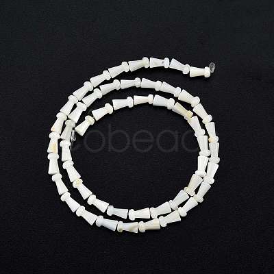 Natural Freshwater Shell Beads Strands SHEL-G013-02D-1