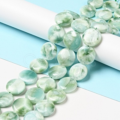 Natural Glass Beads Strands G-I247-33A-1