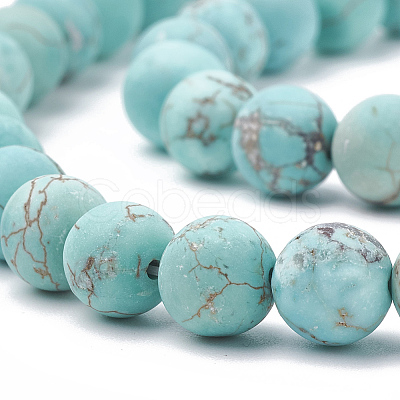 Natural Howlite Beads Strands X-G-T106-185-1-1