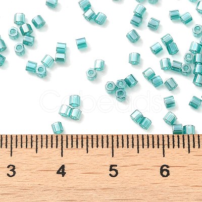 Transparent Colours Luster Glass Seed Beads SEED-S042-20B-07-1