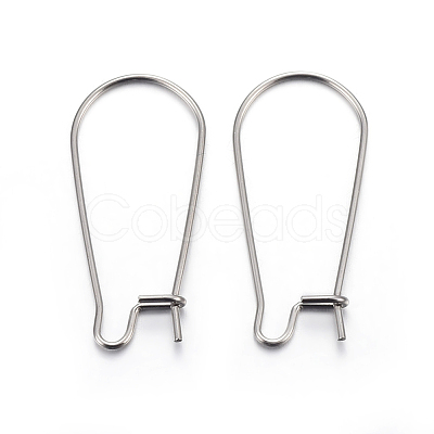 Tarnish Resistant 304 Stainless Steel Hoop Earring Findings X-STAS-P223-01P-05-1