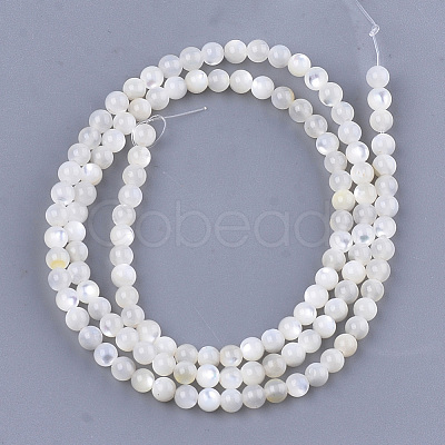 Natural White Shell Beads SHEL-T012-49B-1