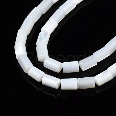 Natural Freshwater Shell Beads Strands SHEL-N003-26-1