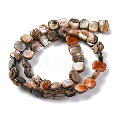 Natural Paua Shell Beads Strands BSHE-B007-02-1