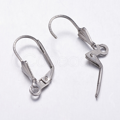 Non-Tarnish 304 Stainless Steel Hoop Earrings X-STAS-K146-037-19.5mm-1