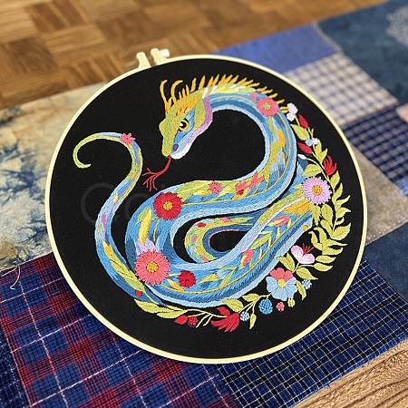 DIY Dragon Pattern Embroidery Kits for Beginners PW-WG0AF0D-06-1