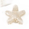 Acrylic Claw Hair Clips, Starfish, Hair Accessories for Women Girls, Antique White, 90x83x49mm