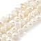 Natural Cultured Freshwater Pearl Beads Strands, Two Sides Polished, Grade 3A, Floral White, 3~4mm, Hole: 0.5mm, about 48pcs/strand, 6.89''(17.5cm)