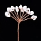 Natural Howlite Display Decorations, Home Office Decorations, Flower, Golden, 120mm