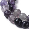 Natural Fluorite Beads Strands G-G796-02B-3