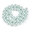 Glass Pearl Beads Strands HY-G002-01E-12-5