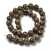 Tibetan Style dZi Beads Strands G-P526-D07-02-3