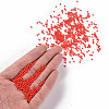 11/0 Grade A Baking Paint Glass Seed Beads X-SEED-N001-A-1006-4