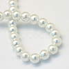 Baking Painted Glass Pearl Round Bead Strands X-HY-Q003-10mm-01-4