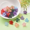 Mixed Color Transparent Acrylic Frosted Flower Beads X-PLF018-3