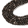 Natural Silver Sheen Obsidian Beads Strands G-E608-A02-B-3