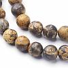 Natural Gemstone Leopard Skin Jasper Round Beads Strands G-A130-3mm-24-2