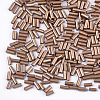 Electroplate Glass Bugle Beads SEED-S029-02B-06-2