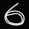 Freshwater Shell Beads Strands X-BSHE-L037-13-5