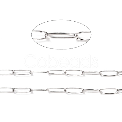 Tarnish Resistant 304 Stainless Steel Paperclip Chains CHS-F010-01C-P-1