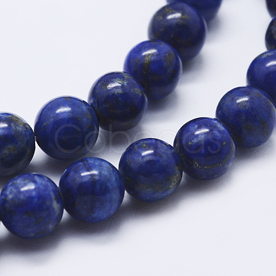 Natural Lapis Lazuli Beads Strands G-P348-01-10mm-1