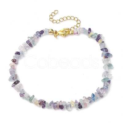 Natural Fluorite Anklets AJEW-AN00592-02-1