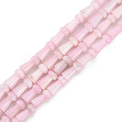 Natural Freshwater Shell Beads Strands SHEL-G013-02G-1